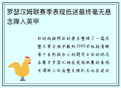 罗瑟汉姆联赛季表现低迷最终毫无悬念降入英甲 罗瑟汉姆联赛季表现低迷最终毫无悬念降入英甲